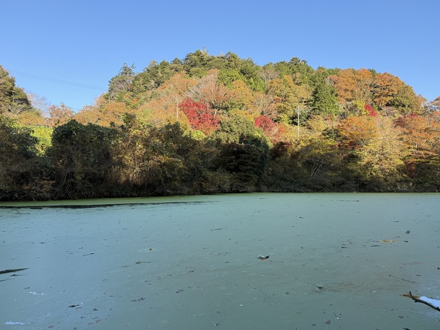 IMG_1527.jpeg