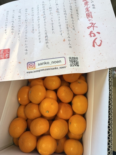 IMG_1718.jpeg