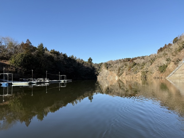 IMG_2035.jpeg