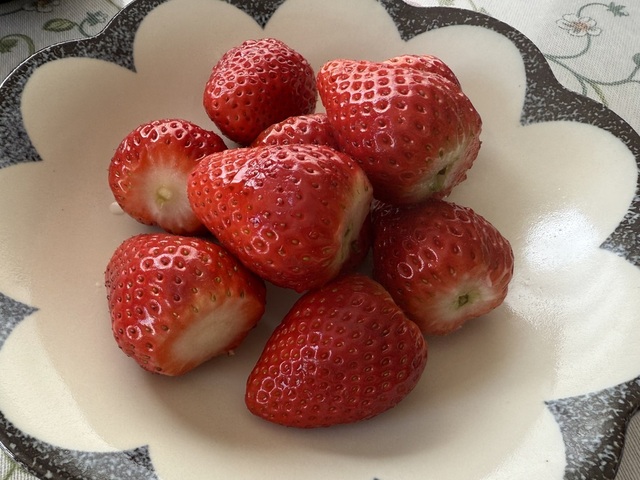 IMG_2166.jpeg