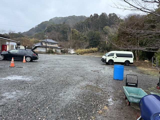 IMG_2230.jpeg